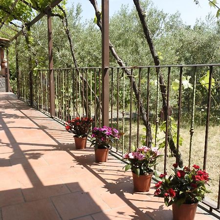 Вілла Casa Vacanza Etna Evergreen П'єдімонте-Етнео Екстер'єр фото