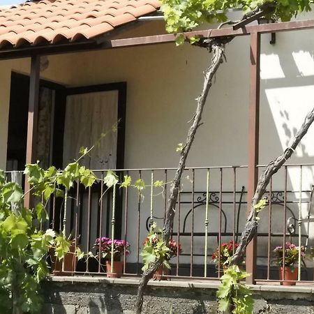 Вілла Casa Vacanza Etna Evergreen П'єдімонте-Етнео Екстер'єр фото