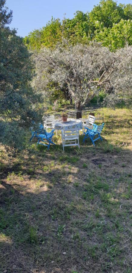 Вілла Casa Vacanza Etna Evergreen П'єдімонте-Етнео Екстер'єр фото