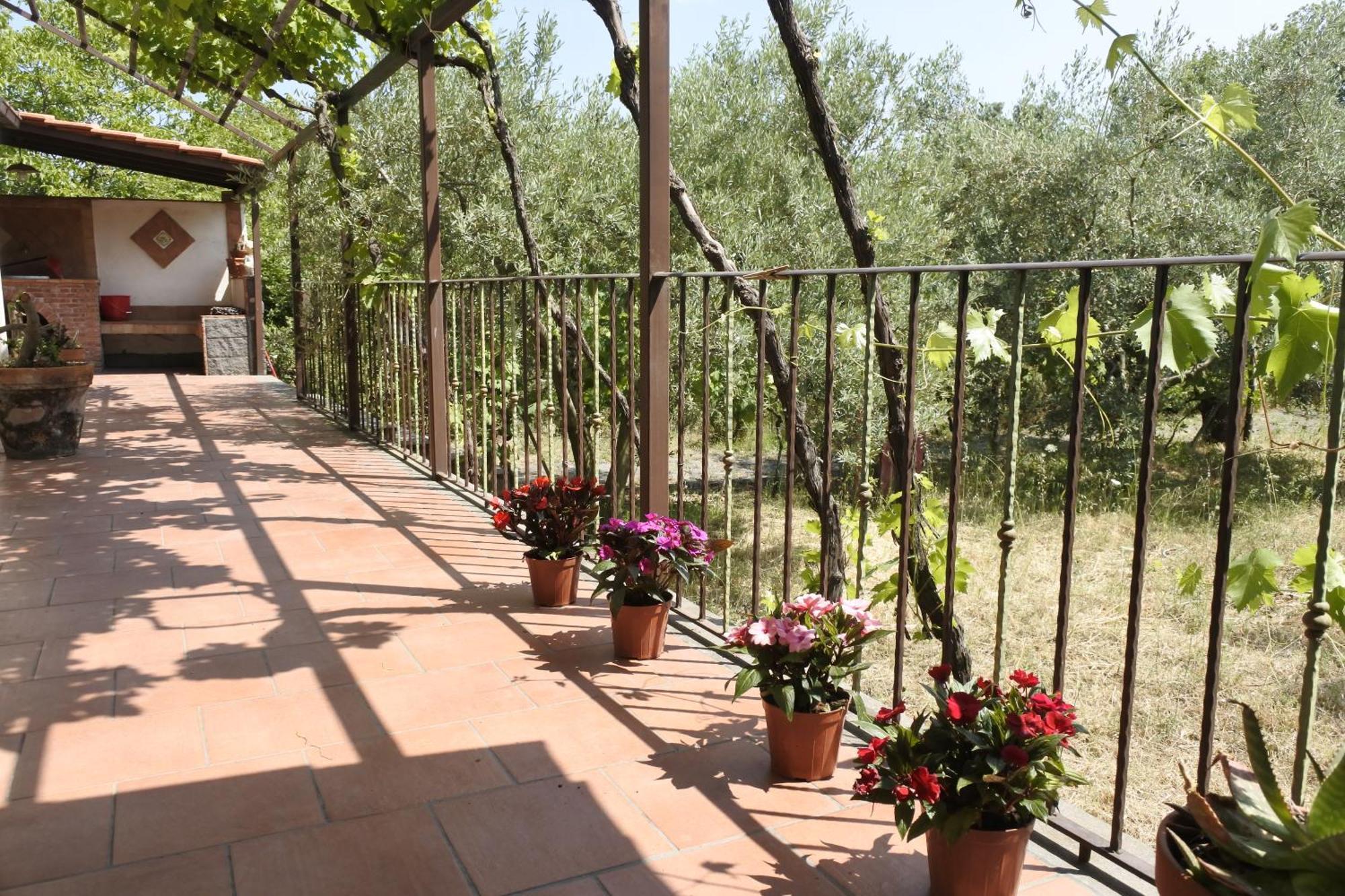 Вілла Casa Vacanza Etna Evergreen П'єдімонте-Етнео Екстер'єр фото