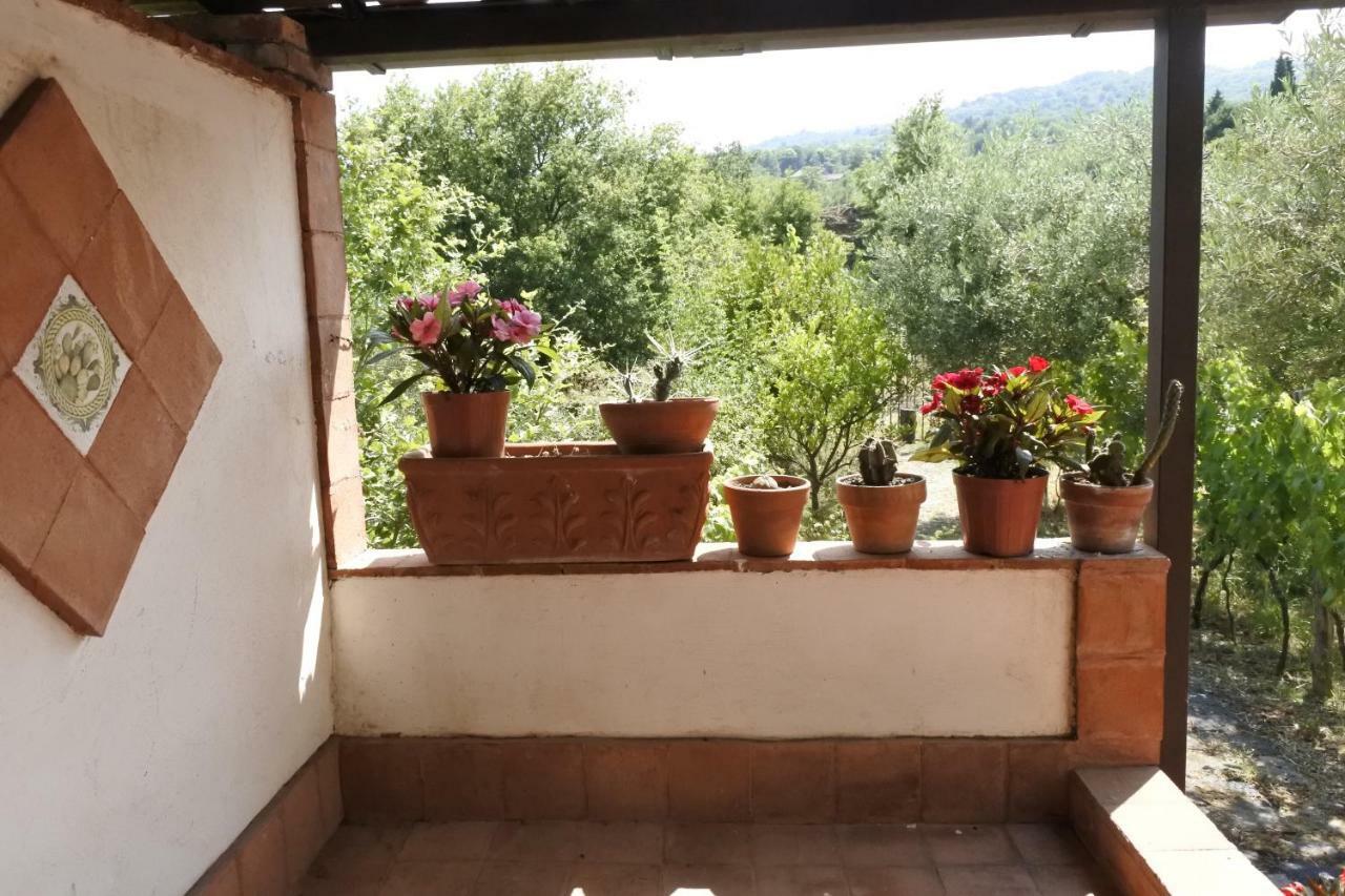 Вілла Casa Vacanza Etna Evergreen П'єдімонте-Етнео Екстер'єр фото