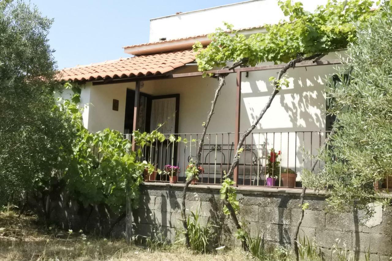 Вілла Casa Vacanza Etna Evergreen П'єдімонте-Етнео Екстер'єр фото